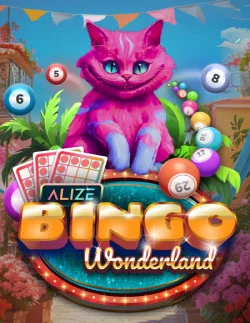 Bingo Wonderland