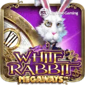 White Rabbit