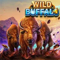 Wild Buffalo