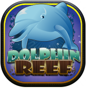 Dolphin Reef