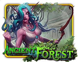 Ancient Forest
