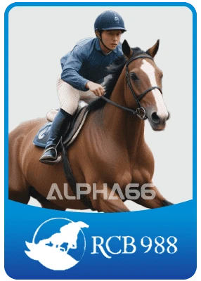 RCB988 – Sports provider Alpha66